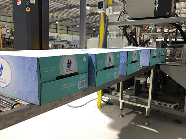 Automatic Wrap Around Sink Type Case Carton Bottle Can Packing Machine